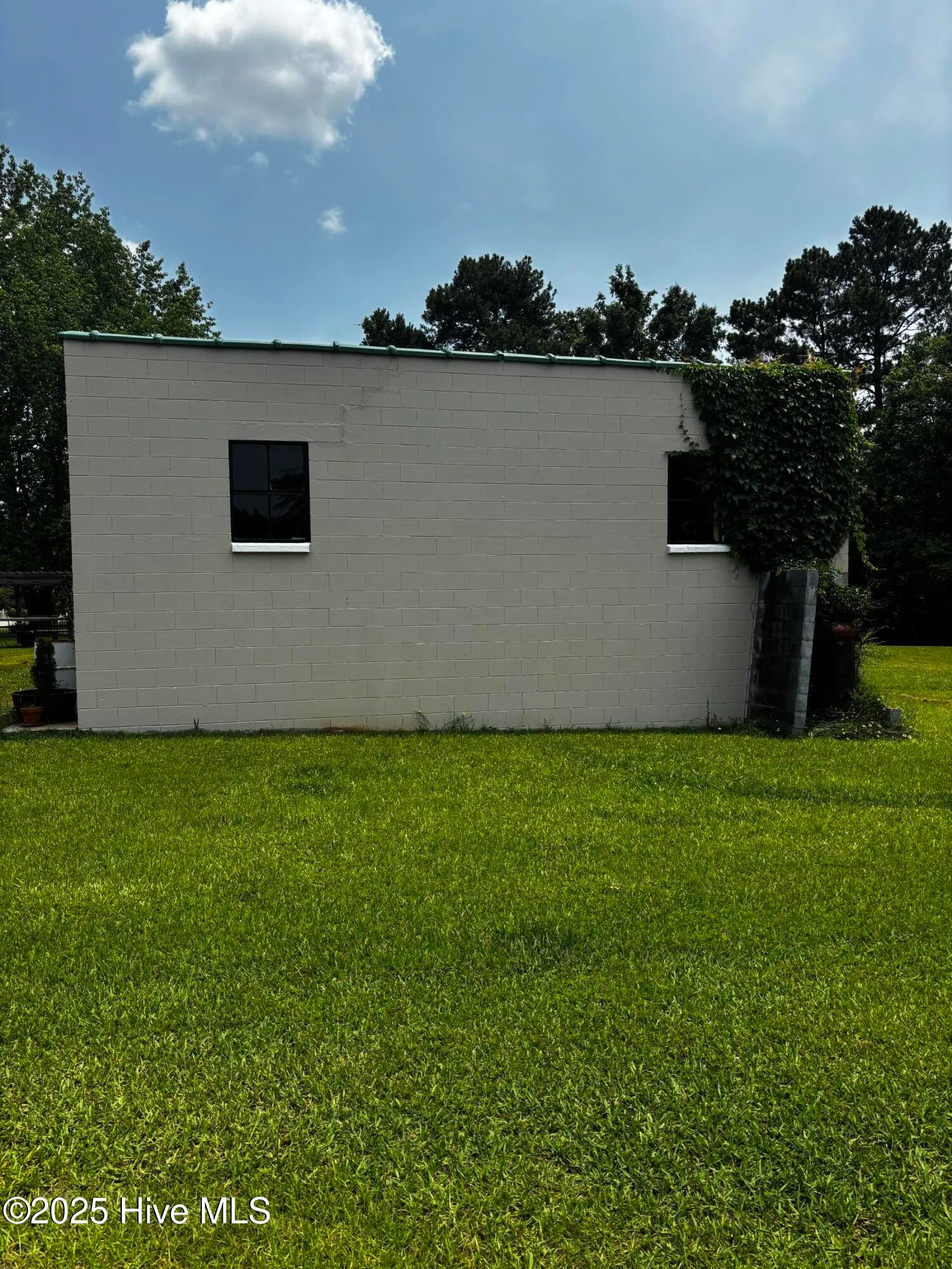 157 Gibbs Avenue, Hollister, NC 27844 MLS 100512388 Listing