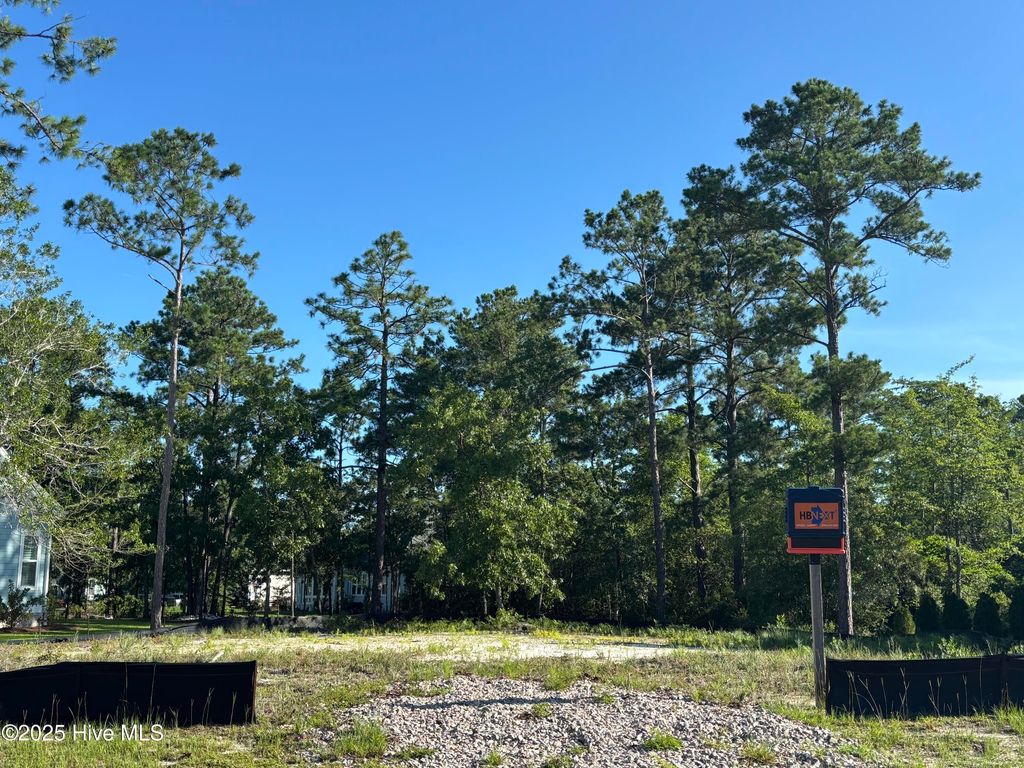 Photo of 454 Tasha Court SE, Bolivia, NC 28422 (MLS # 100520807)