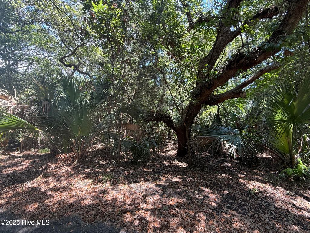 Photo of 9 Red Cedar Trail, Bald Head Island, NC 28461 (MLS # 100518969)