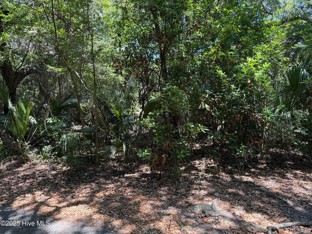 Photo of 9 Red Cedar Trail, Bald Head Island, NC 28461 (MLS # 100518969)