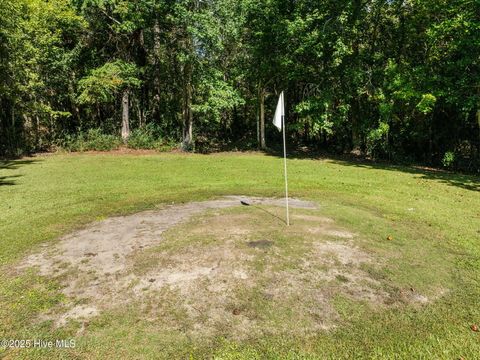 Tiny photo for 183 April Lane, Stella, NC 28582 (MLS # 100535627)