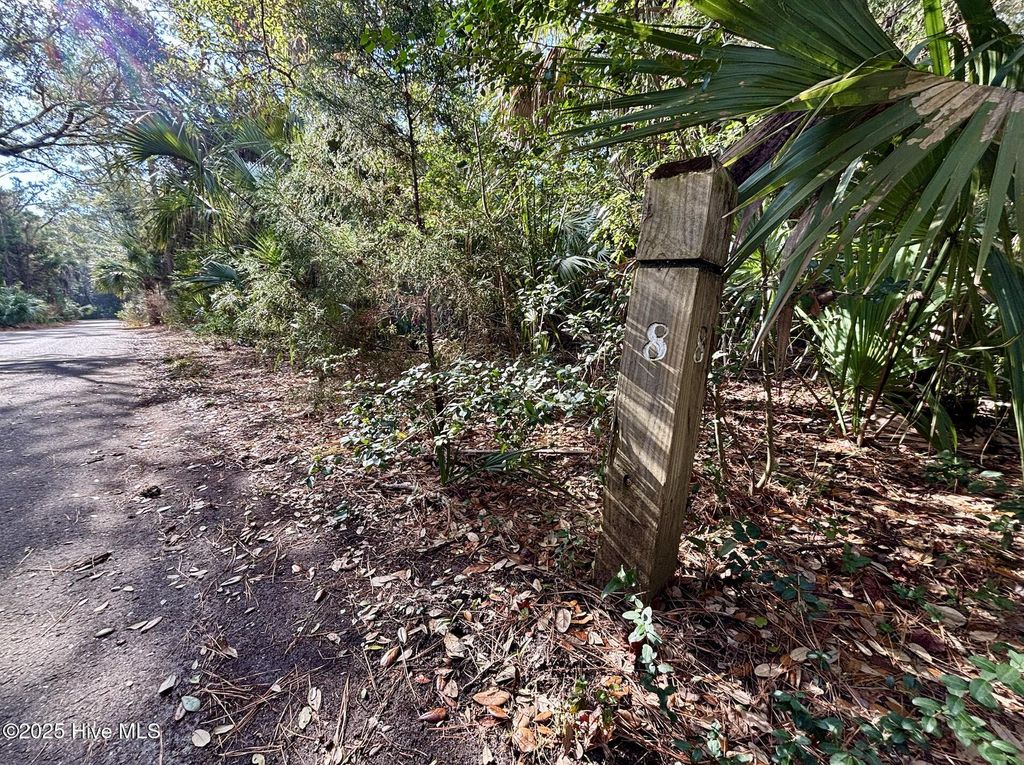 Photo of 8 Dogwood Trail, Bald Head Island, NC 28461 (MLS # 100493150)