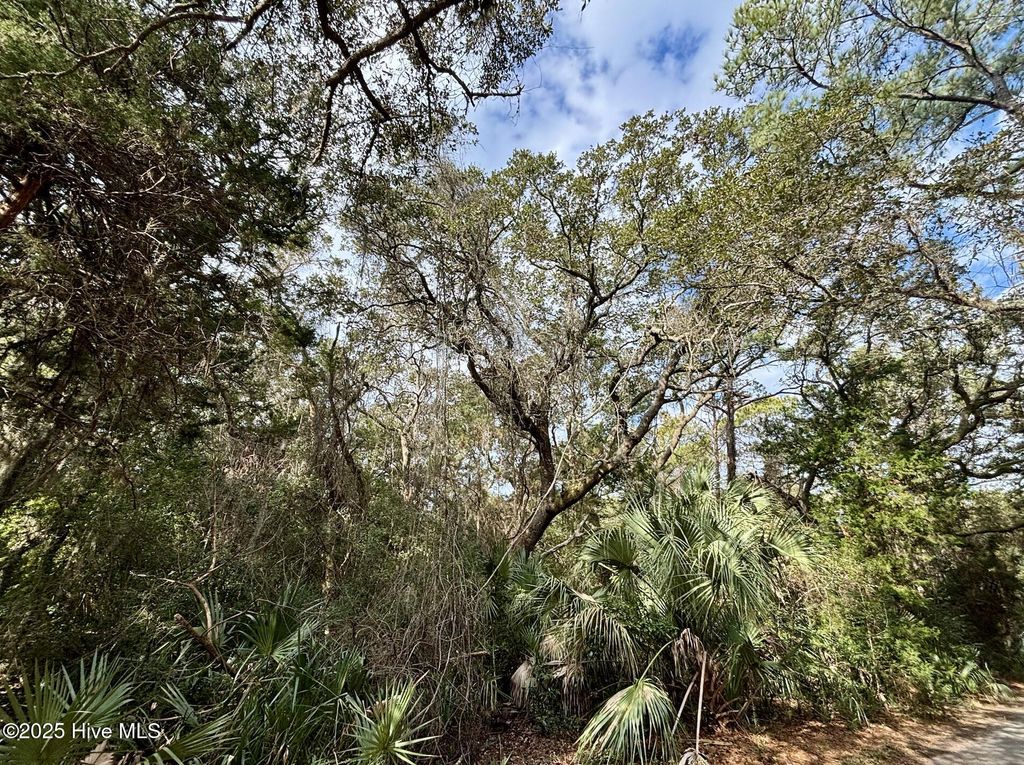 Photo of 8 Dogwood Trail, Bald Head Island, NC 28461 (MLS # 100493150)