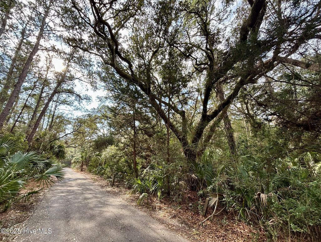 Photo of 8 Dogwood Trail, Bald Head Island, NC 28461 (MLS # 100493150)
