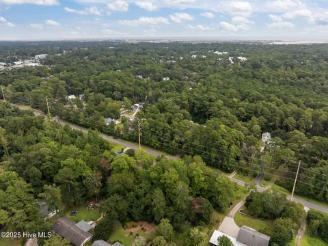Tiny photo for 610 Dogwood Lane, Wilmington, NC 28409 (MLS # 100529798)