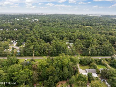 Tiny photo for 610 Dogwood Lane, Wilmington, NC 28409 (MLS # 100529798)
