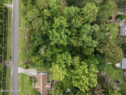 Tiny photo for 610 Dogwood Lane, Wilmington, NC 28409 (MLS # 100529798)