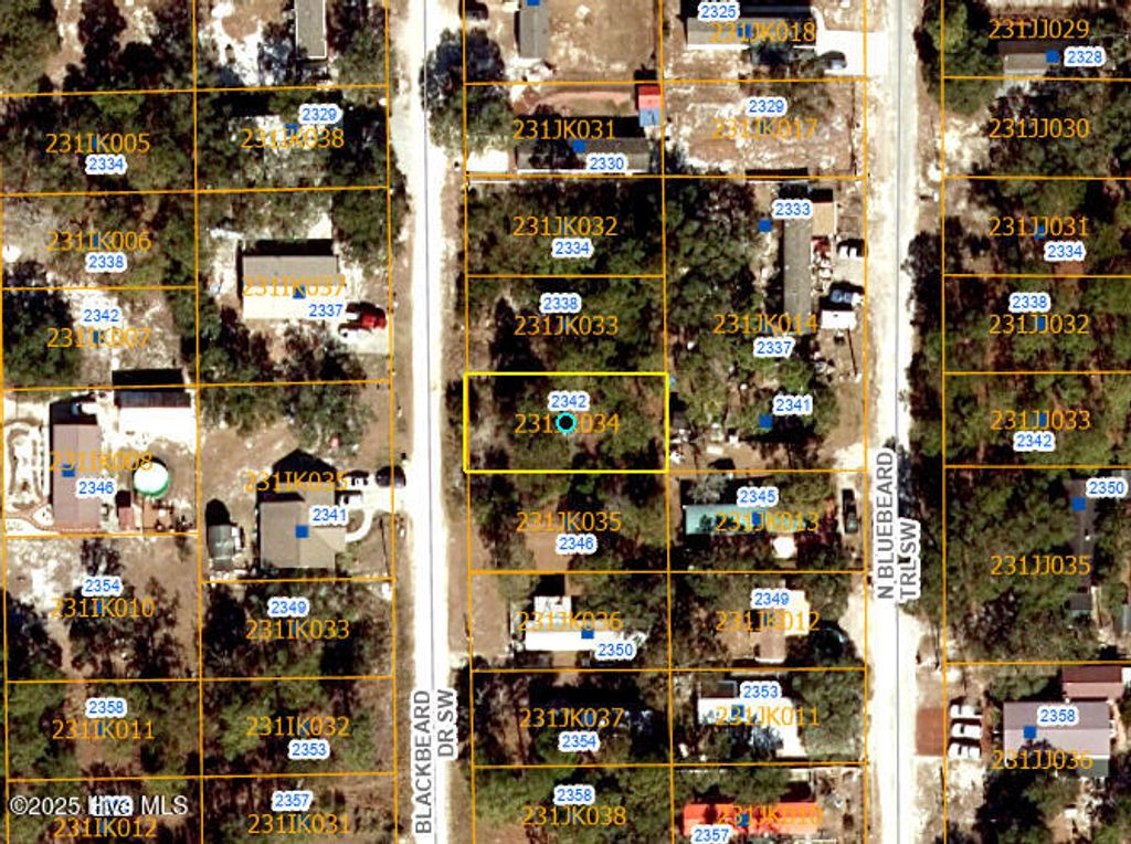 Photo of 2342 Blackbeard Drive SW, Supply, NC 28462 (MLS # 100503304)