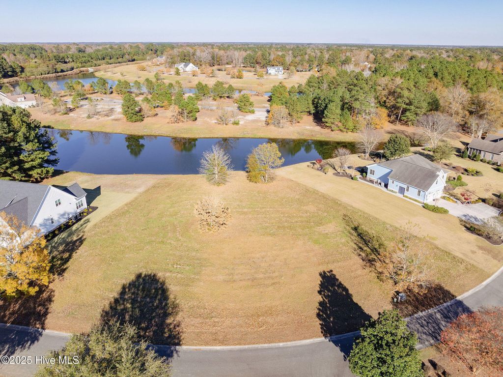 Photo of 176 Legacy Woods Drive, Wallace, NC 28466 (MLS # 100542367)