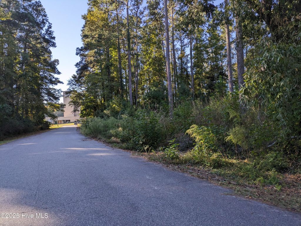 Photo of 510 E Oliver St Street, Whiteville, NC 28472 (MLS # 100538298)