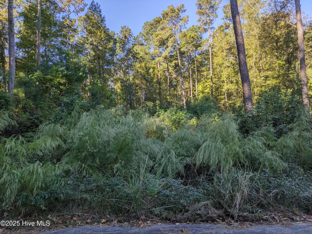 Photo of 510 E Oliver St Street, Whiteville, NC 28472 (MLS # 100538298)