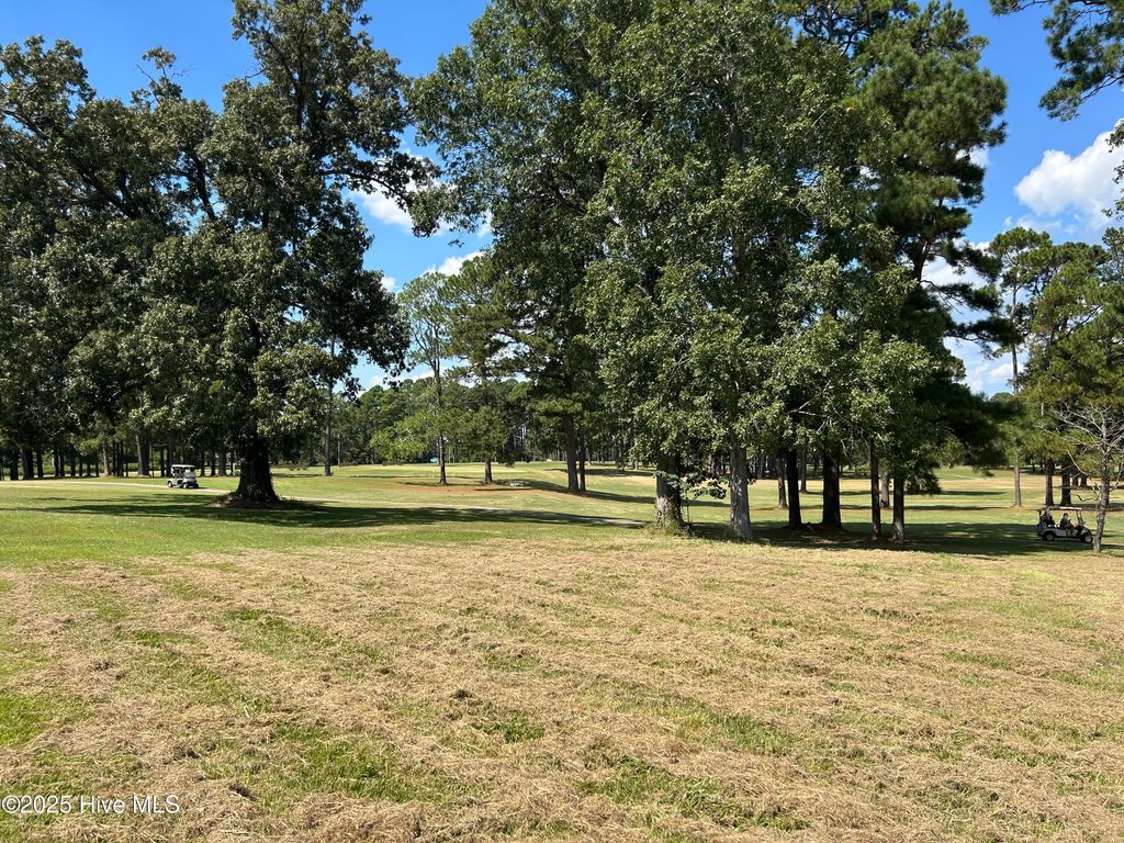 Photo of 40 Muirfield Drive, Whiteville, NC 28472 (MLS # 100446521)