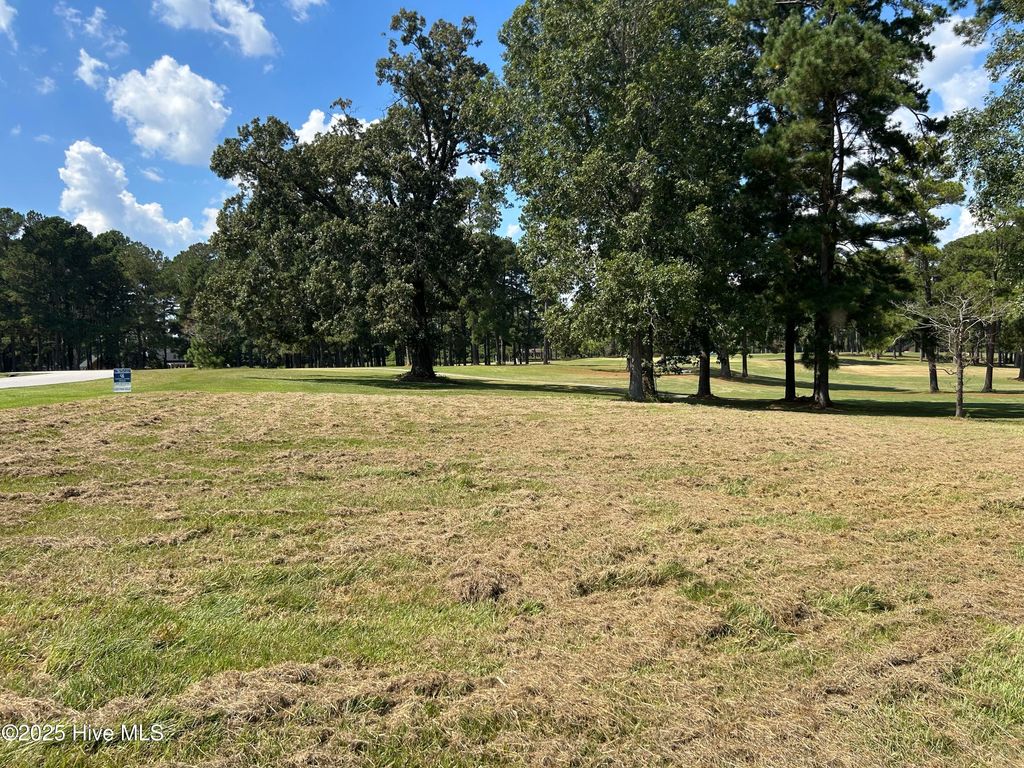 Photo of 40 Muirfield Drive, Whiteville, NC 28472 (MLS # 100446521)