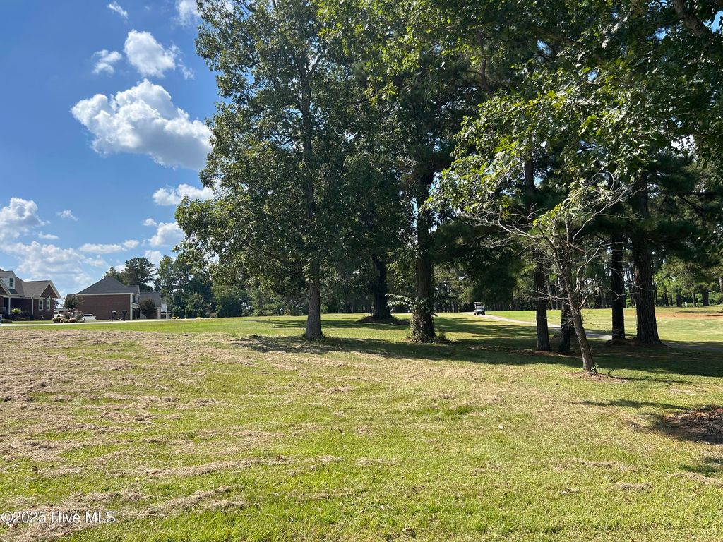 Photo of 40 Muirfield Drive, Whiteville, NC 28472 (MLS # 100446521)