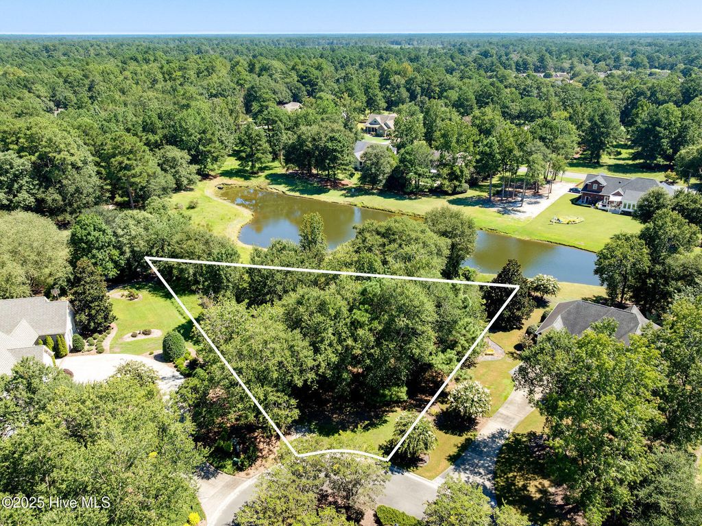 Photo of 136 Sugar Maple Court, Wallace, NC 28466 (MLS # 100532401)
