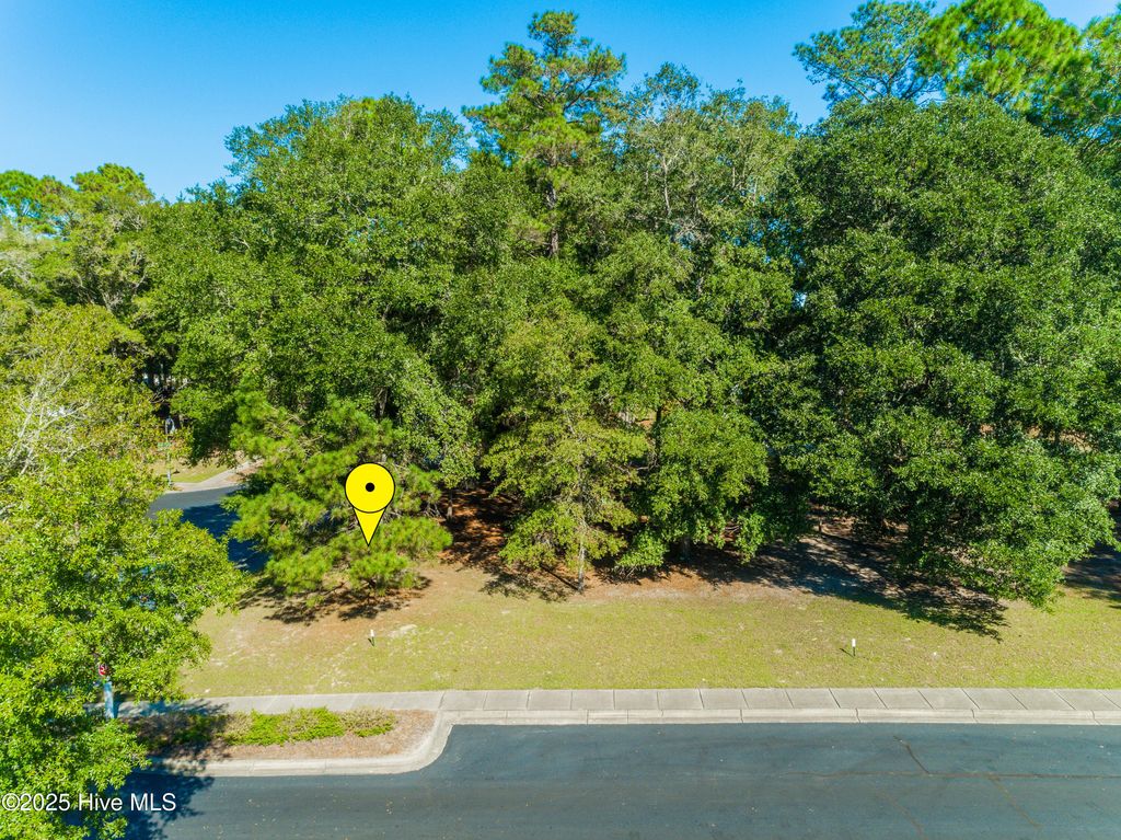 Photo of 9150 Devaun Park Boulevard SW, Calabash, NC 28467 (MLS # 100542675)