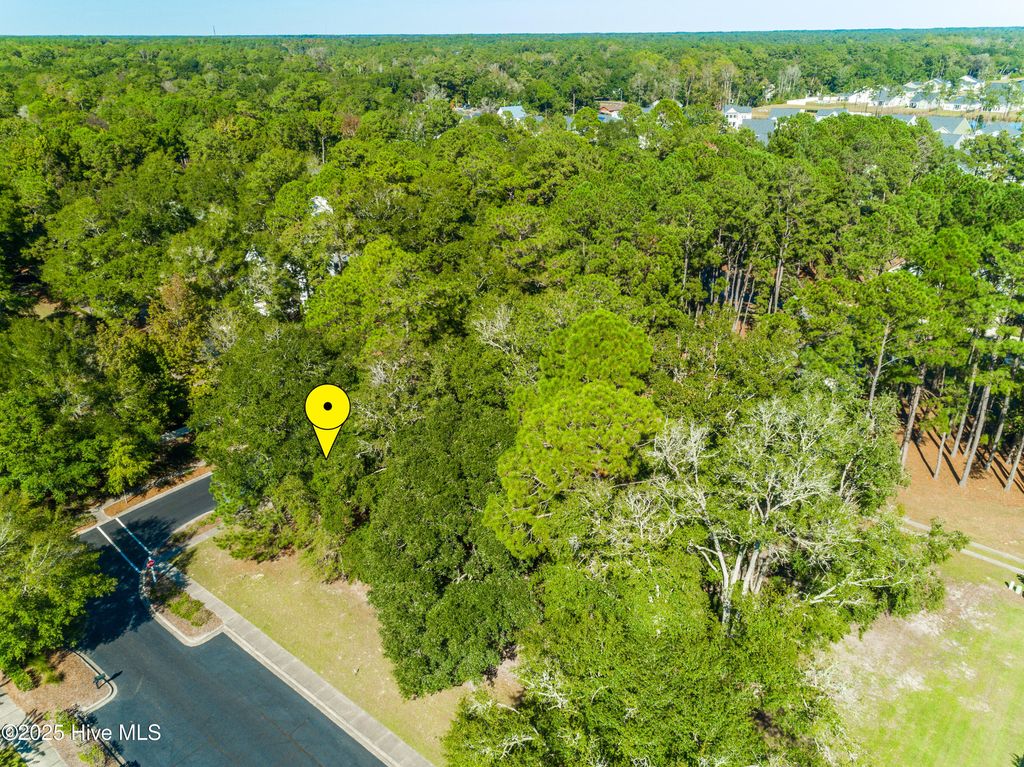Photo of 9150 Devaun Park Boulevard SW, Calabash, NC 28467 (MLS # 100542675)