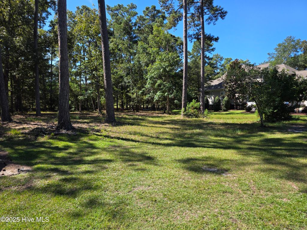 Photo of 828 Loblolly Drive SW, Shallotte, NC 28470 (MLS # 100532594)