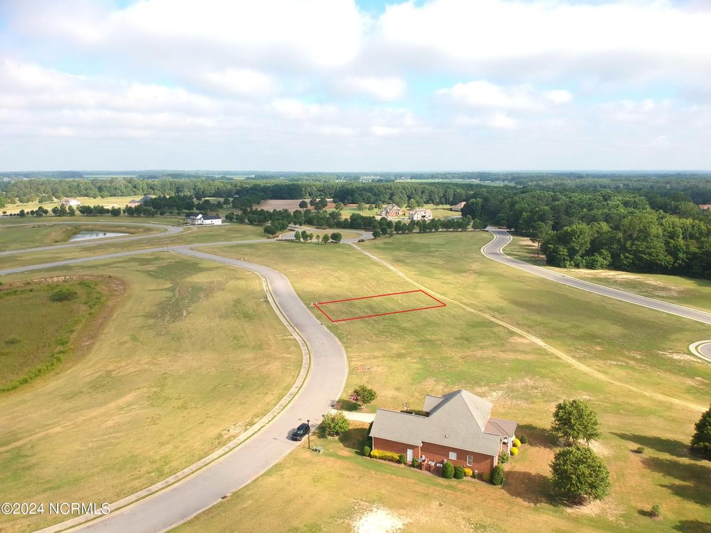 Photo of 170 Weeping Willow Court, Snow Hill, NC 28580 (MLS # 100451456)