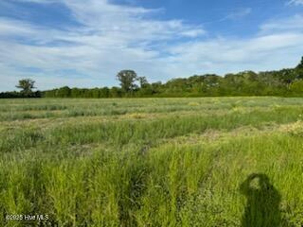 Photo of Lot B 343 Highway N, South Mills, NC 27976 (MLS # 100503495)