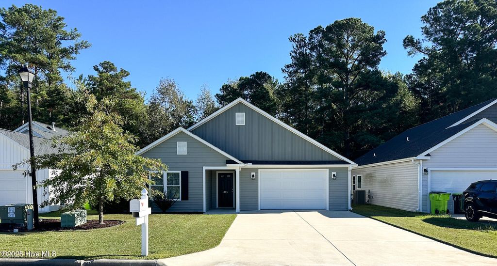 Photo of 315 Woolard Trail, New Bern, NC 28560 (MLS # 100536838)