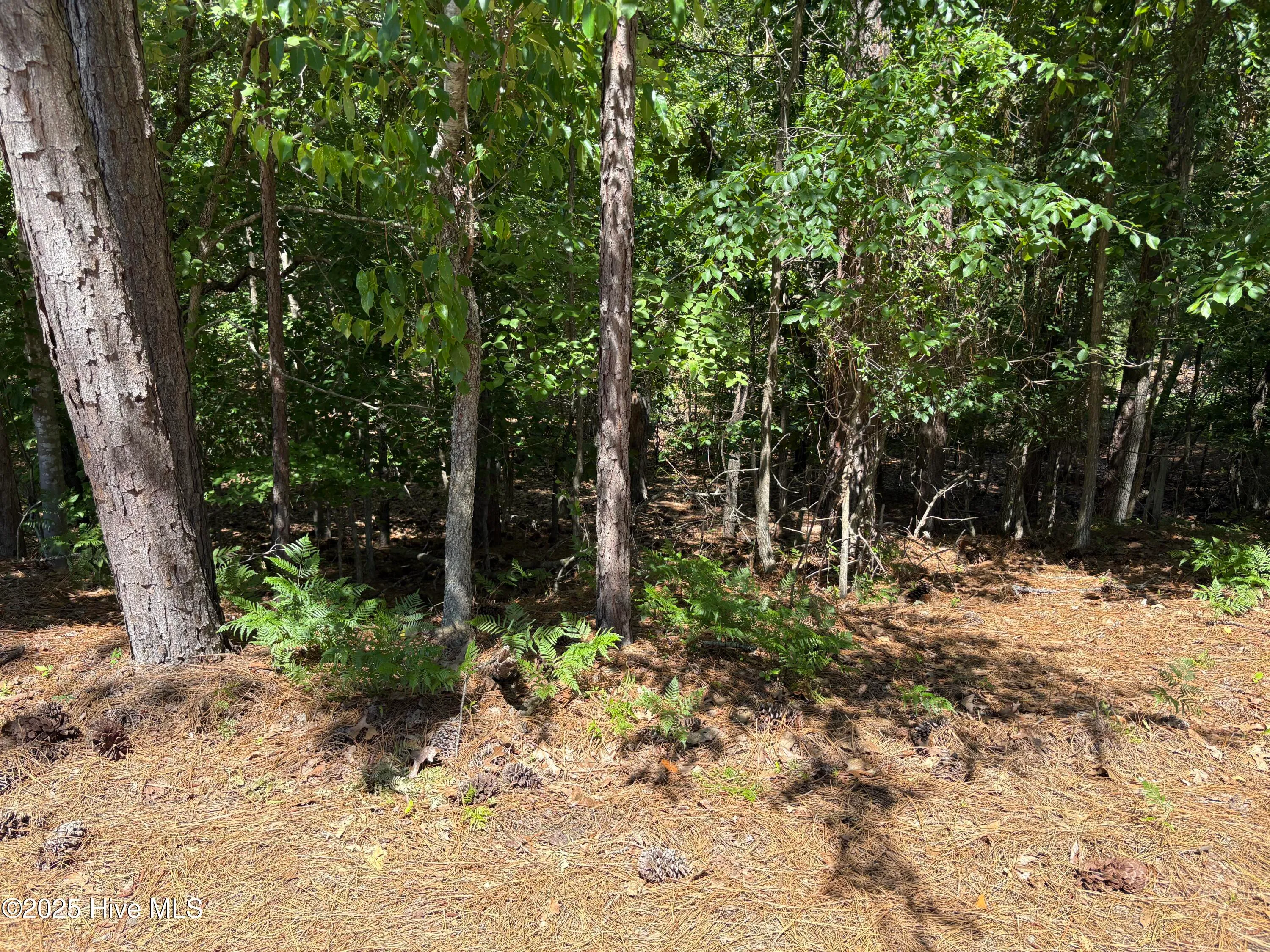 Pinehurst, North Carolina 28374, United States, ,Land,Pending,139349