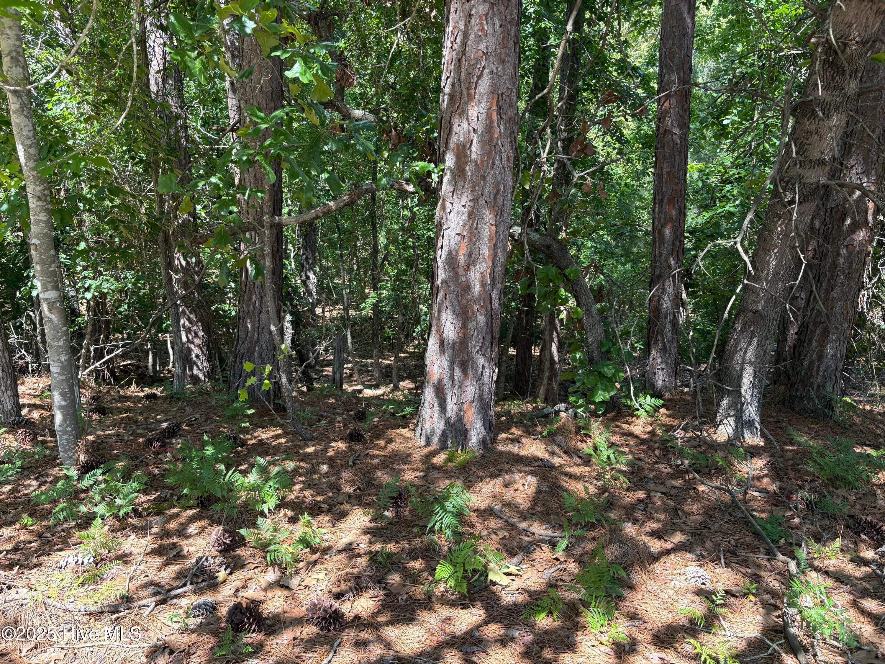 Pinehurst, North Carolina 28374, United States, ,Land,Pending,139349