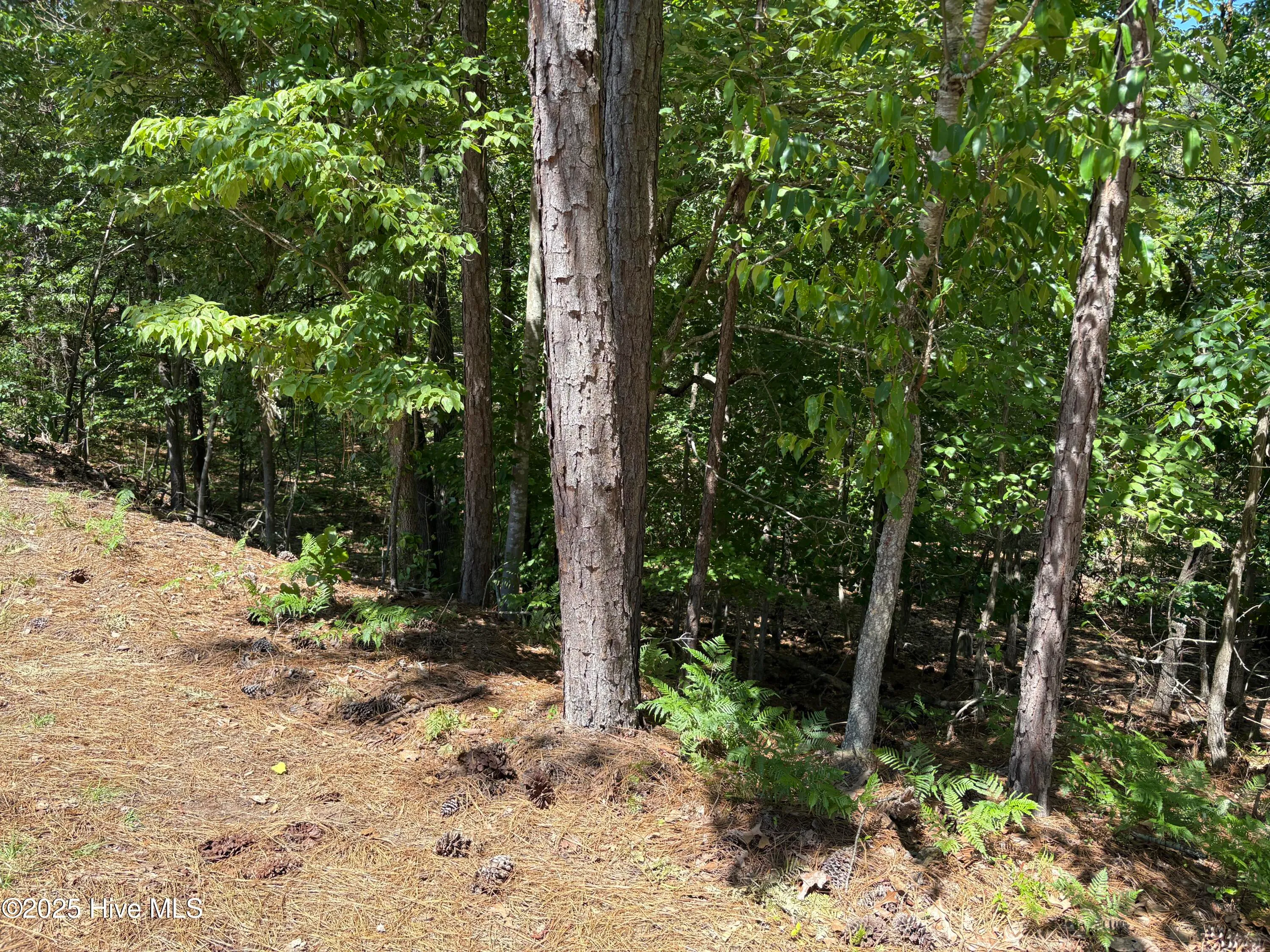 Pinehurst, North Carolina 28374, United States, ,Land,Pending,139349