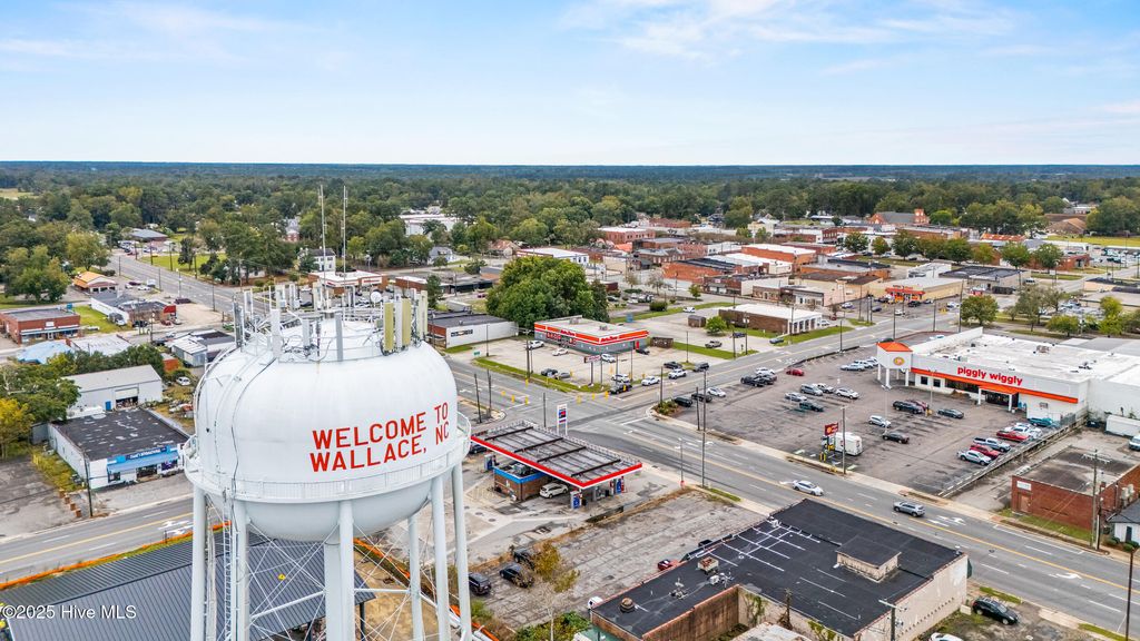 Photo of 3 Hc Powers Road, Wallace, NC 28466 (MLS # 100538768)