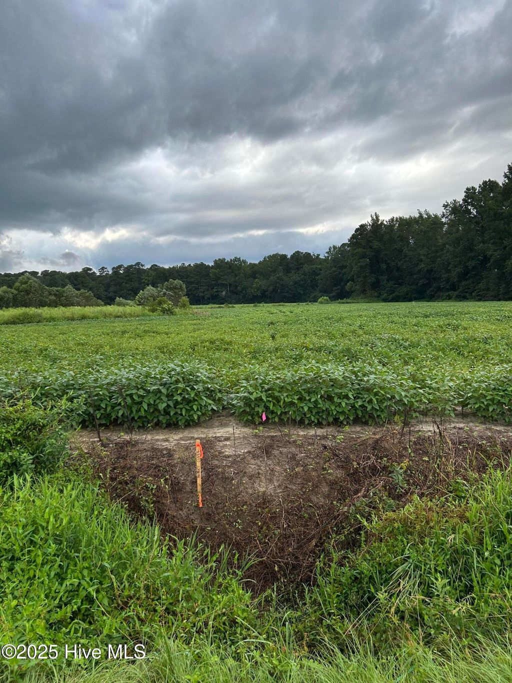 Photo of 3 Hc Powers Road, Wallace, NC 28466 (MLS # 100538768)