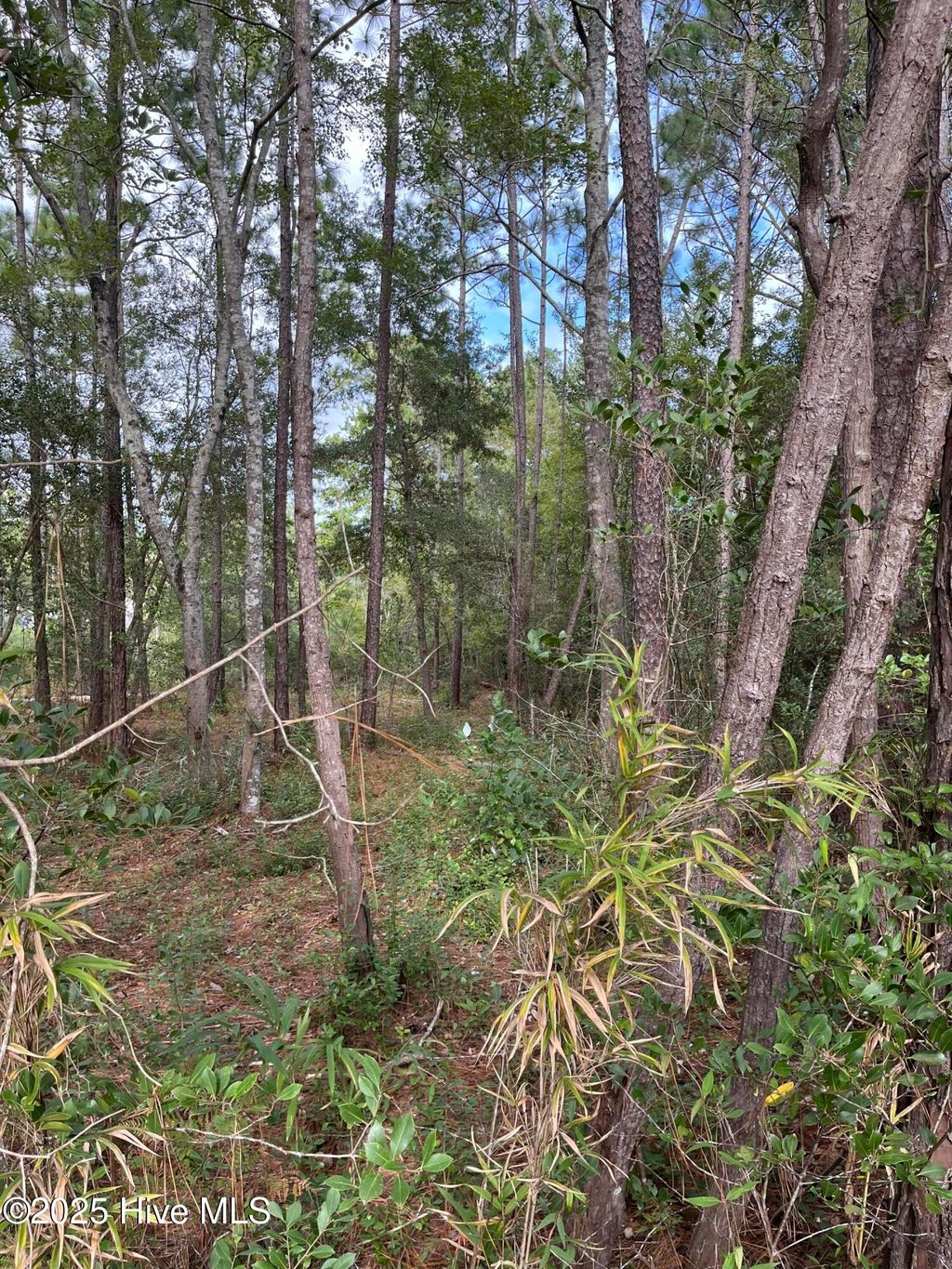 Photo of 102230 Cherry Road, Southport, NC 28461 (MLS # 100534482)