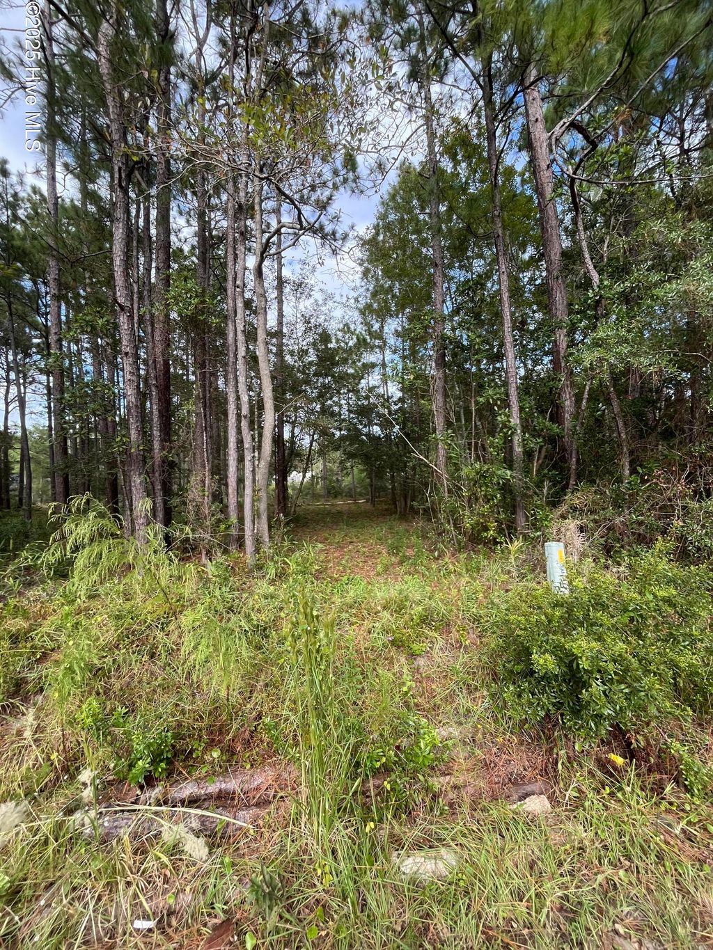 Photo of 102230 Cherry Road, Southport, NC 28461 (MLS # 100534482)