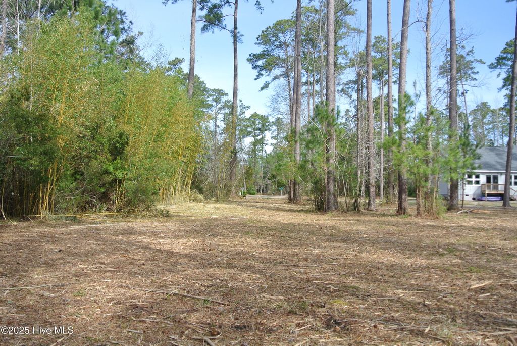 Photo of 252 Jonaquins Drive, Beaufort, NC 28516 (MLS # 100492969)