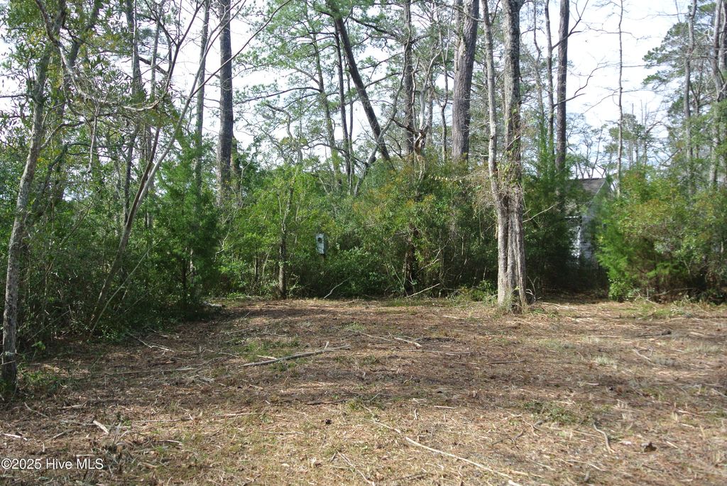 Photo of 252 Jonaquins Drive, Beaufort, NC 28516 (MLS # 100492969)