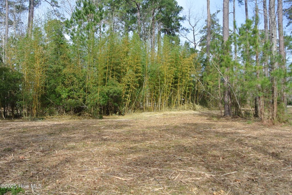 Photo of 252 Jonaquins Drive, Beaufort, NC 28516 (MLS # 100492969)