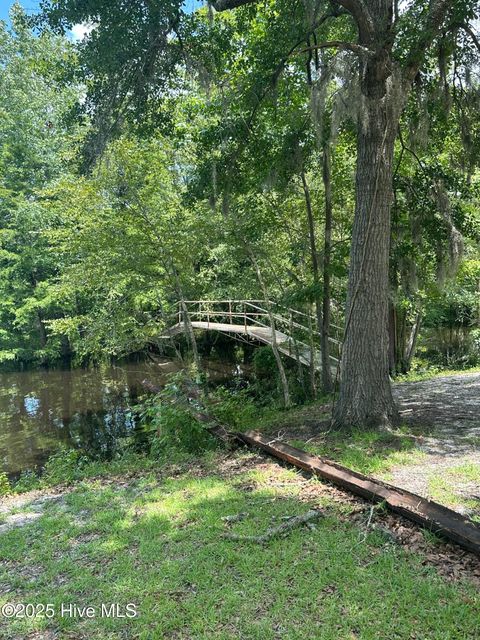 Tiny photo for 250 Long Bluff Road, Currie, NC 28435 (MLS # 100532437)