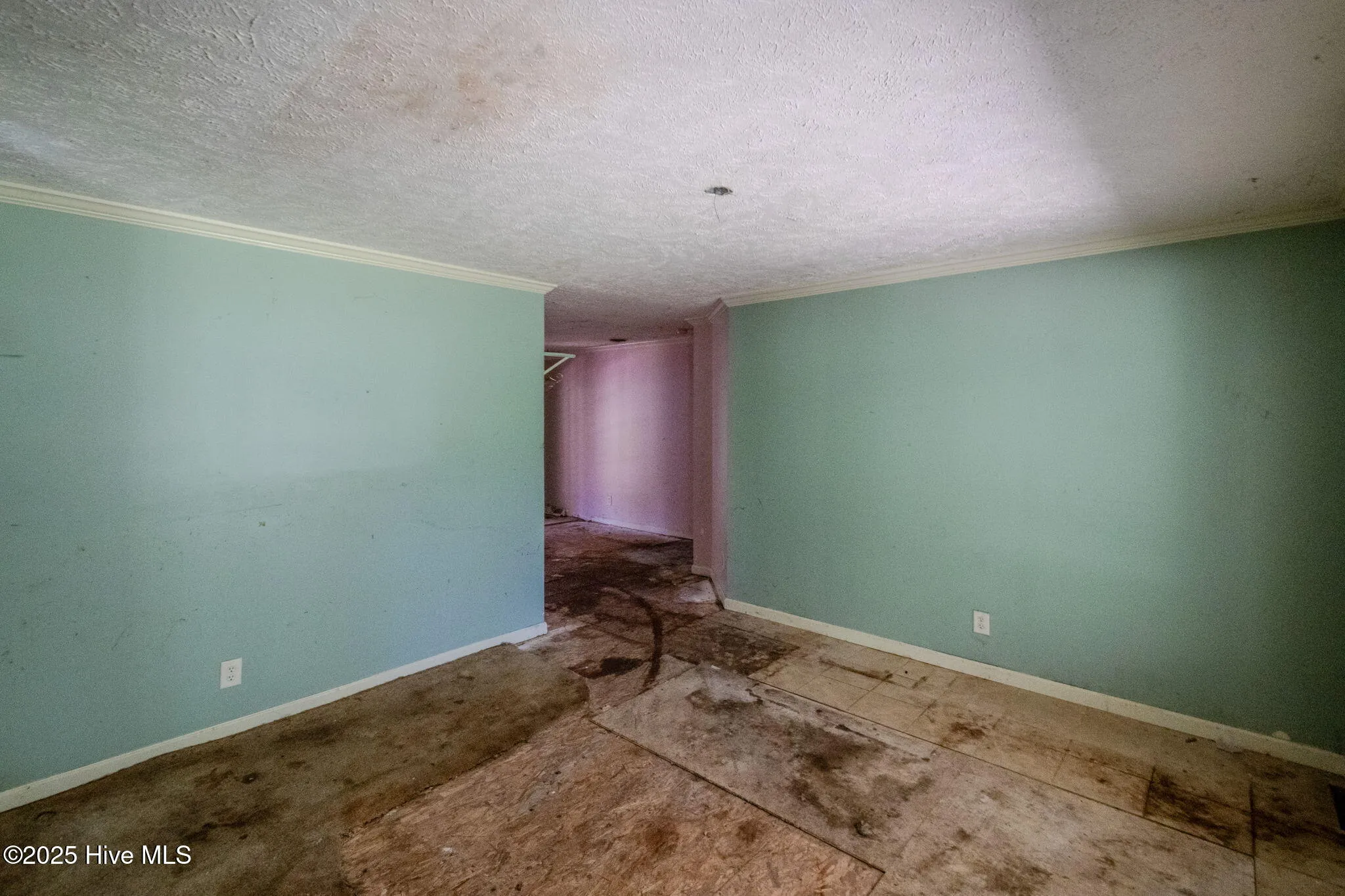 Burgaw, North Carolina 28425, United States, 2 Bedrooms Bedrooms, ,2 BathroomsBathrooms,Residential,Active,153359