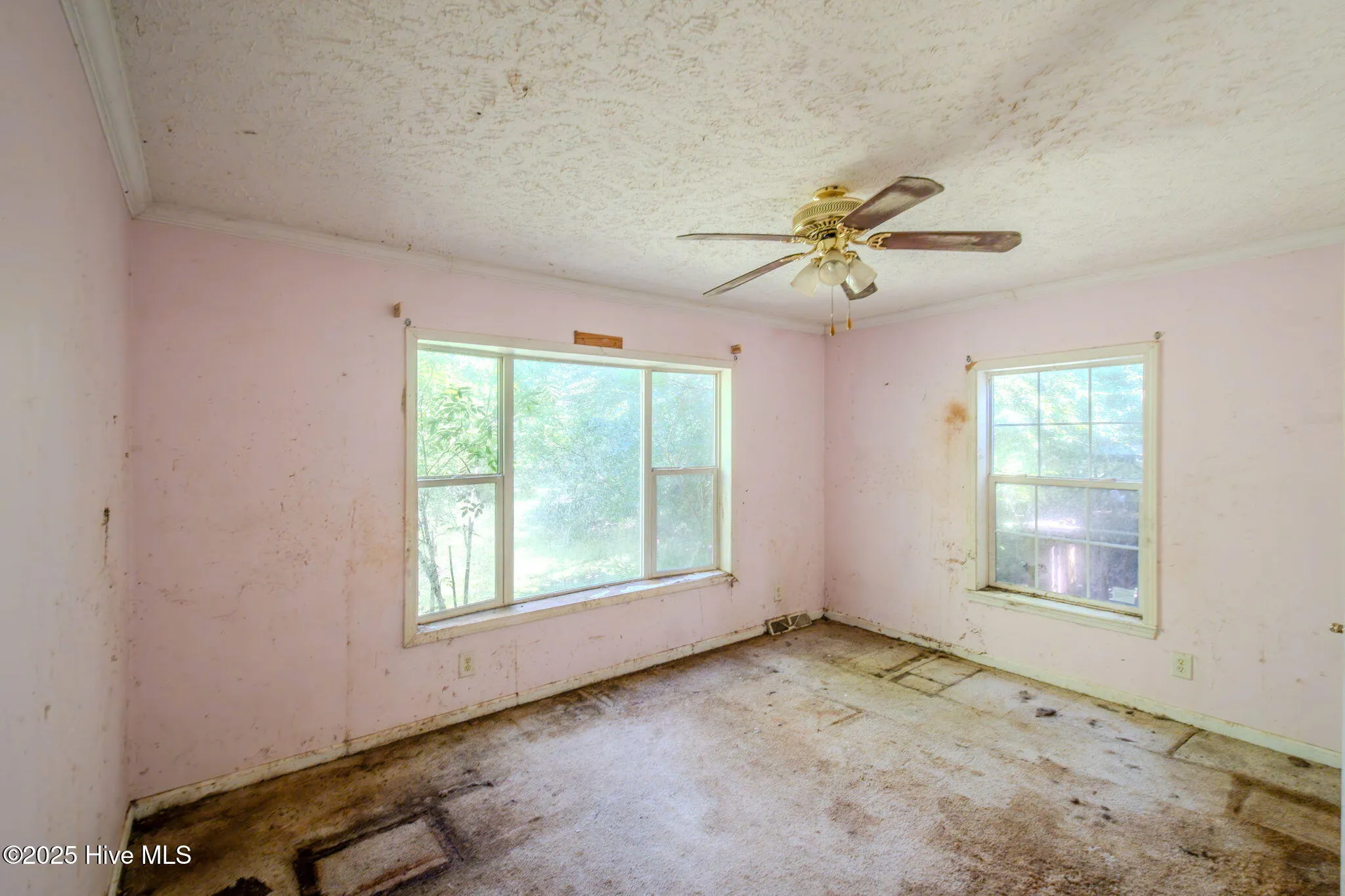 Burgaw, North Carolina 28425, United States, 2 Bedrooms Bedrooms, ,2 BathroomsBathrooms,Residential,Active,153359