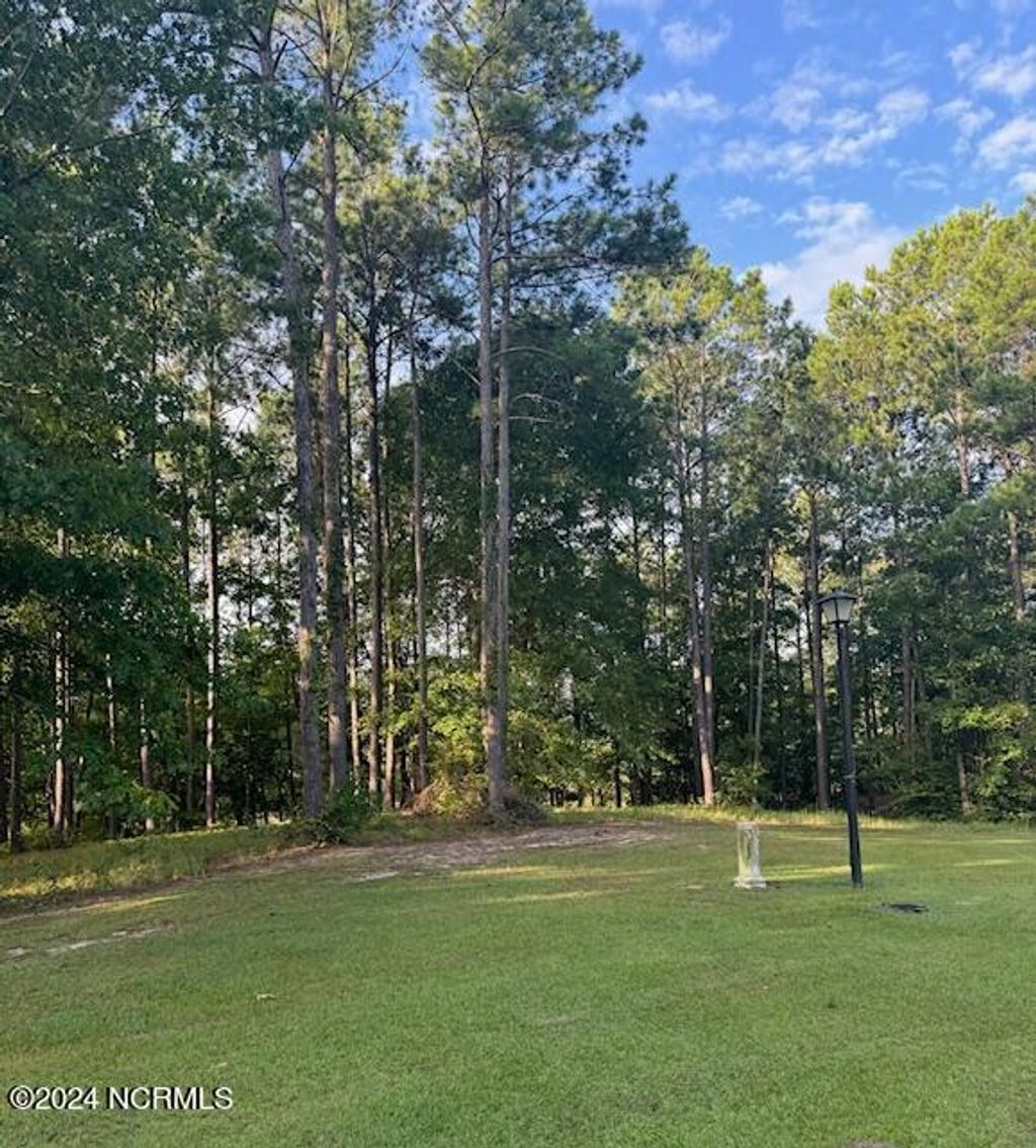Photo of 1049 Mill Creek Road, Minnesott Beach, NC 28510 (MLS # 100467104)