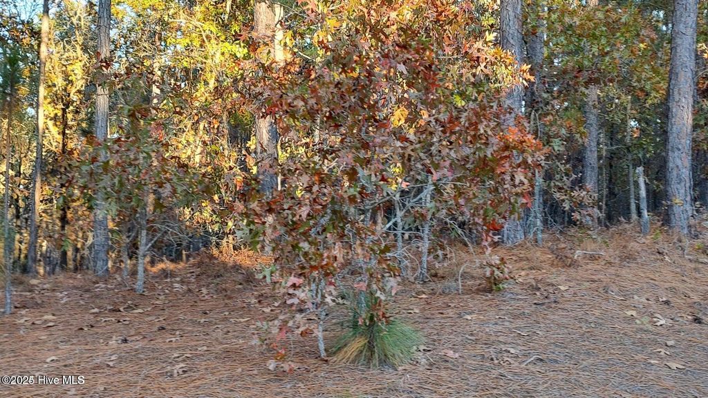 Photo of 4 Brassie Circle, Jackson Springs, NC 27281 (MLS # 100536342)