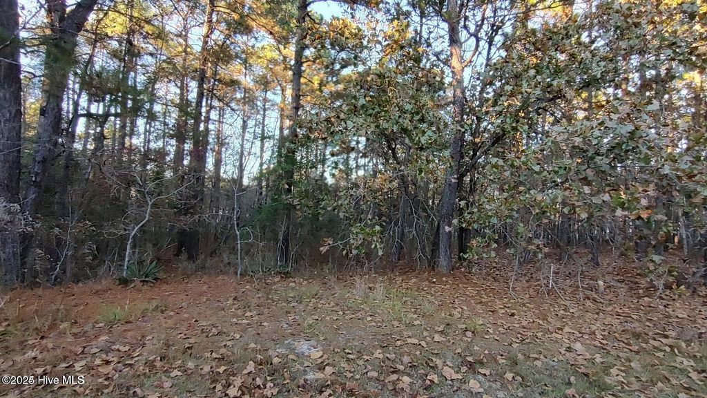 Photo of 4 Brassie Circle, Jackson Springs, NC 27281 (MLS # 100536342)