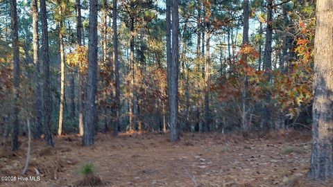 Photo of 4 Brassie Circle, Jackson Springs, NC 27281 (MLS # 100536342)