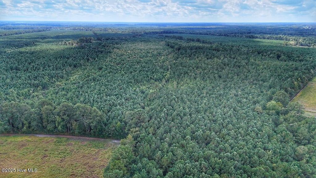 Photo of 949 E Pleasant Hill Road, Pink Hill, NC 28572 (MLS # 100538242)