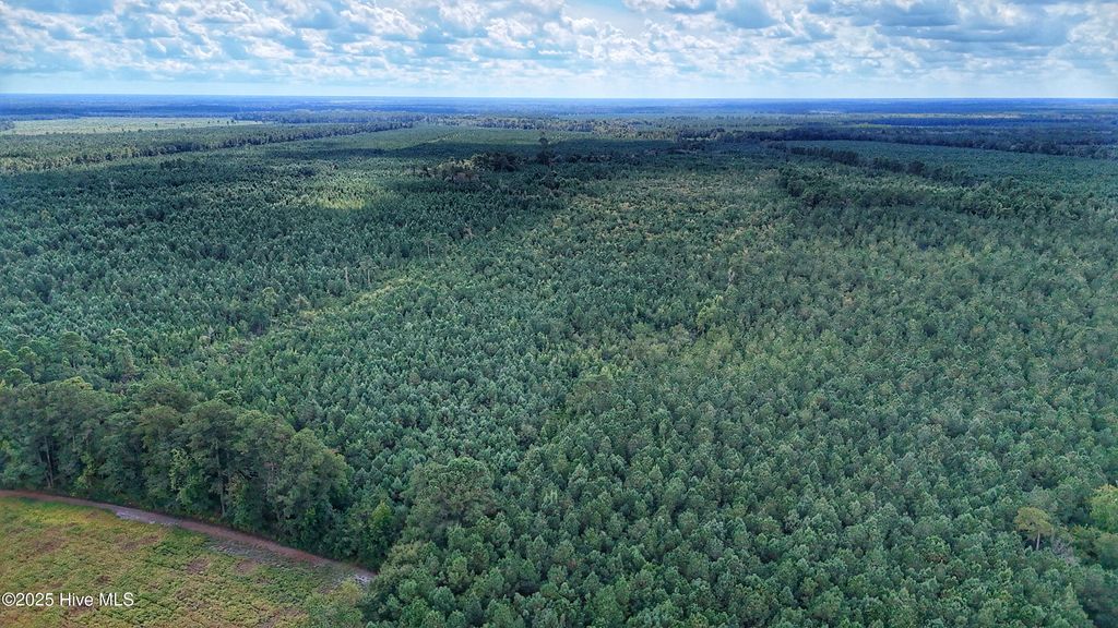 Photo of 949 E Pleasant Hill Road, Pink Hill, NC 28572 (MLS # 100538242)