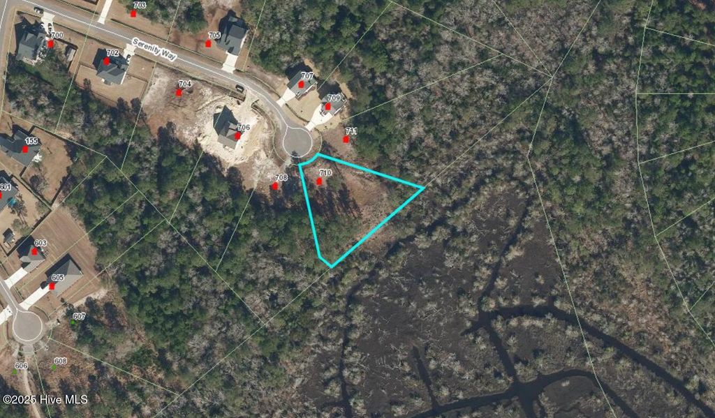 Photo of 710 Serenity Way, Sneads Ferry, NC 28460 (MLS # 100523784)