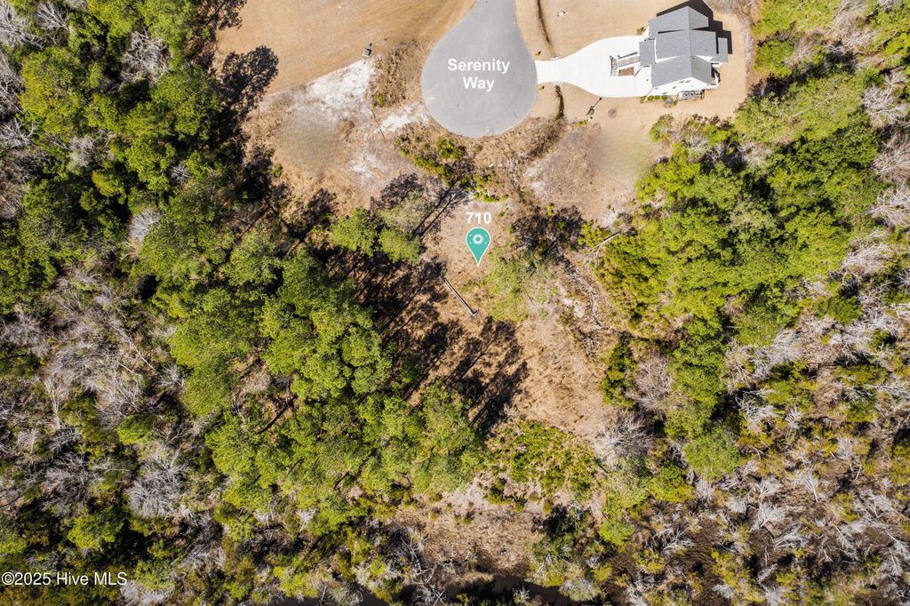 Photo of 710 Serenity Way, Sneads Ferry, NC 28460 (MLS # 100523784)