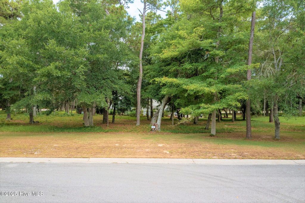 Photo of 682 Beaufain Street SW, Supply, NC 28462 (MLS # 100506580)