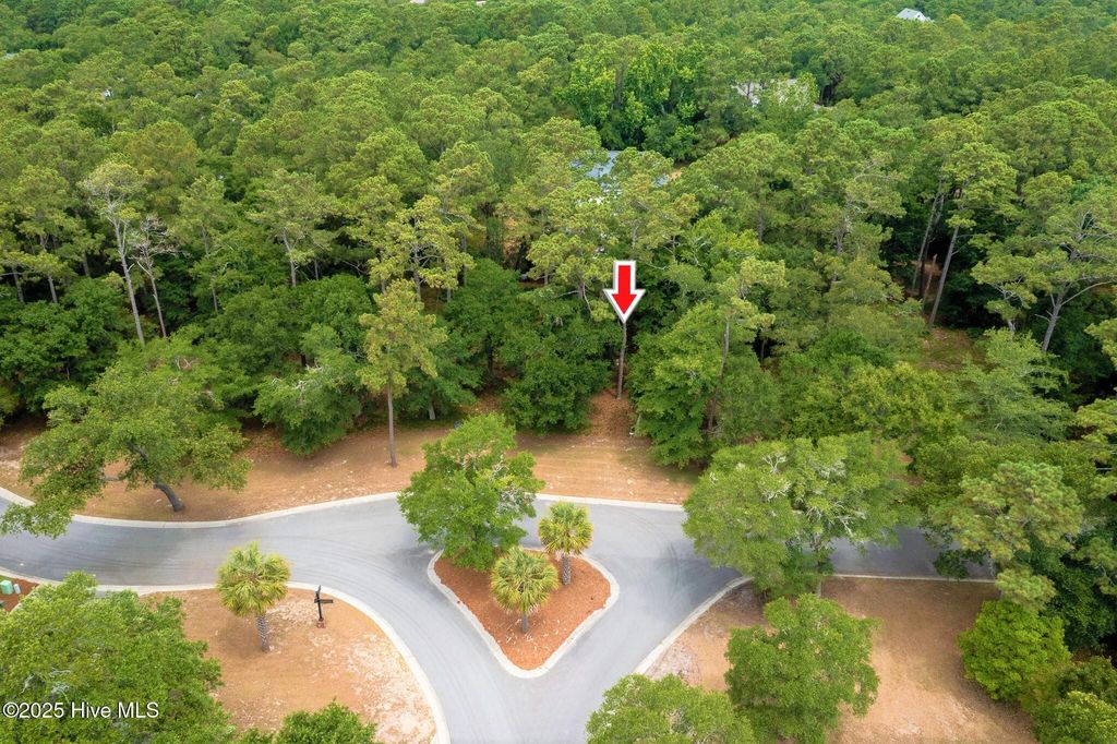 Photo of 682 Beaufain Street SW, Supply, NC 28462 (MLS # 100506580)