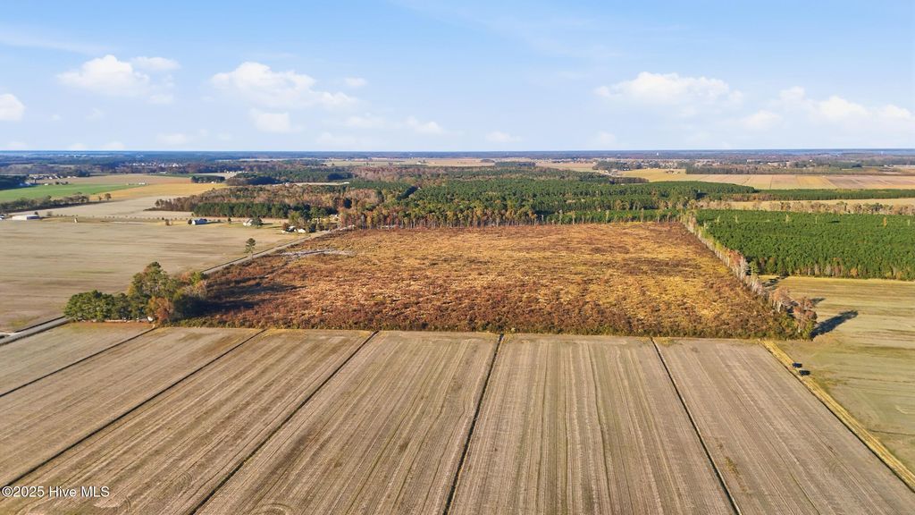 Photo of 00000 Gum Bridge Road, Elizabeth City, NC 27909 (MLS # 100544053)