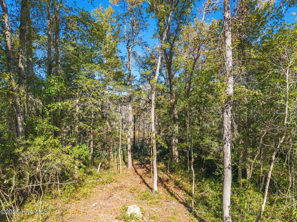 Photo of 4 Midway Road SE, Bolivia, NC 28422 (MLS # 100540984)
